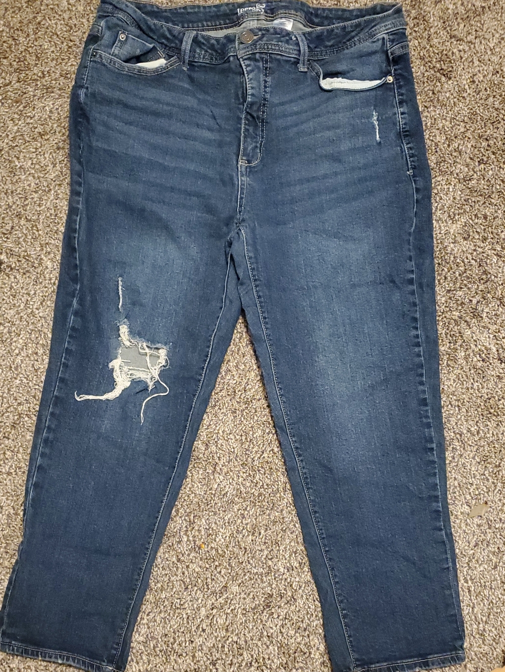 Terra & Sky Dark Blue Distressed Ankle Jeans